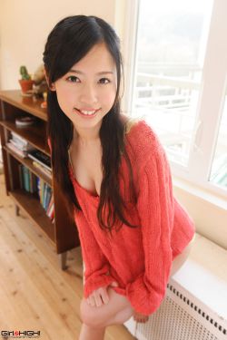 门户网站制作