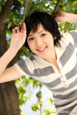 春花焰电视剧